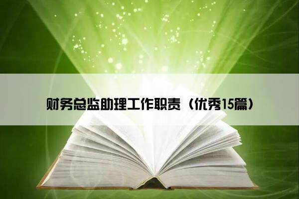 财务总监助理工作职责（优秀15篇）