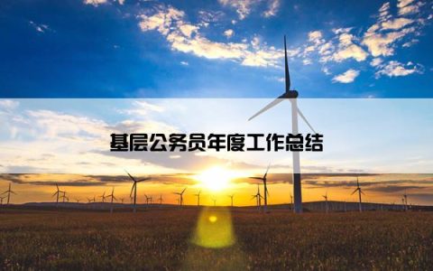基层公务员年度工作总结