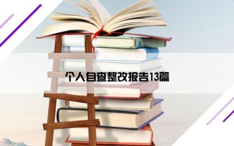 个人自查整改报告13篇