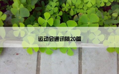 运动会通讯稿20篇