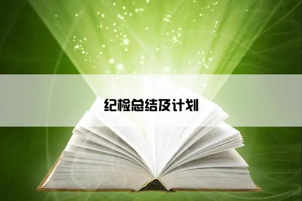 纪检总结及计划