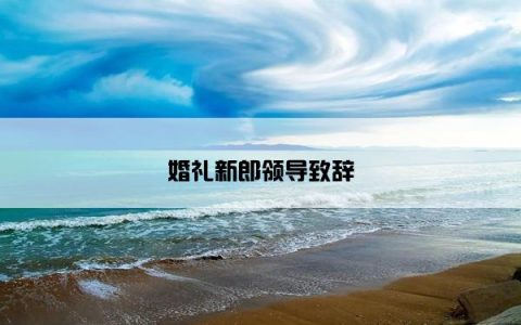 婚礼新郎领导致辞