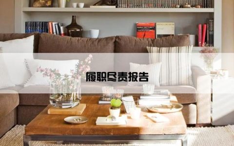 履职尽责报告