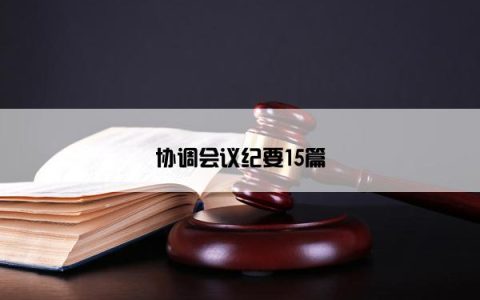 协调会议纪要15篇