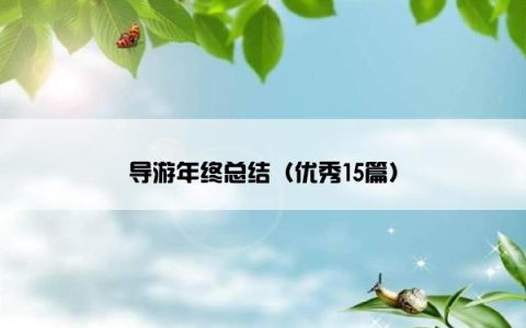 导游年终总结（优秀15篇）