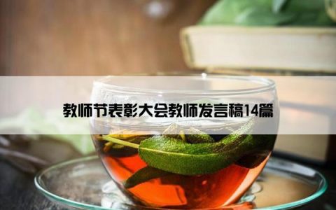 教师节表彰大会教师发言稿14篇