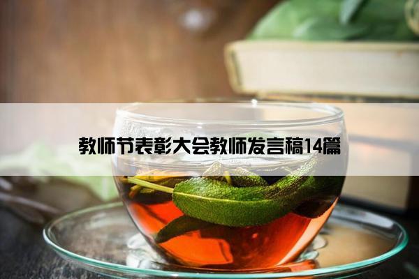 教师节表彰大会教师发言稿14篇