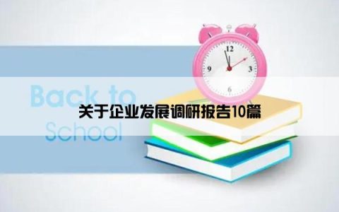 关于企业发展调研报告10篇