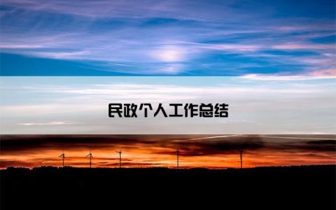 民政个人工作总结