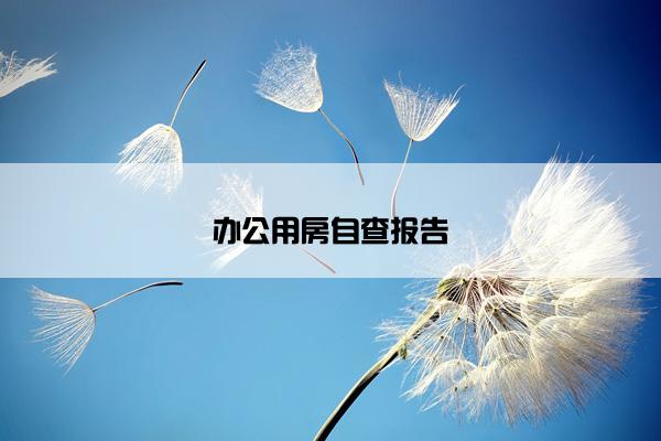 办公用房自查报告