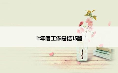 it年度工作总结15篇