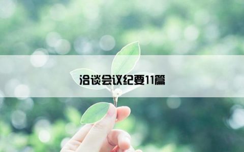 洽谈会议纪要11篇