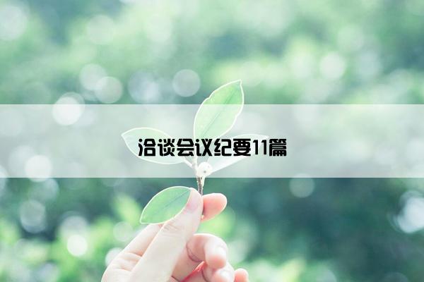 洽谈会议纪要11篇