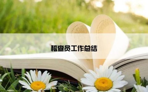 稽查员工作总结