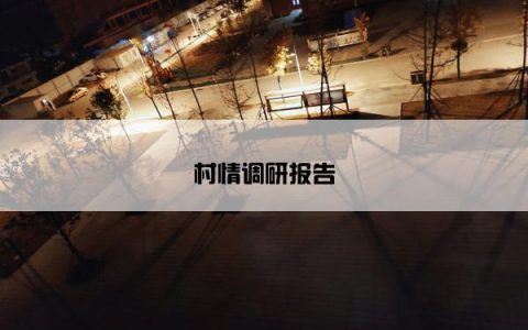 村情调研报告