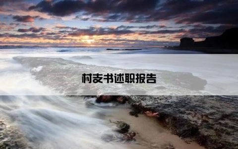 村支书述职报告