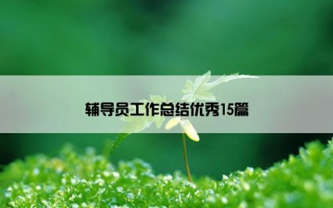 辅导员工作总结优秀15篇