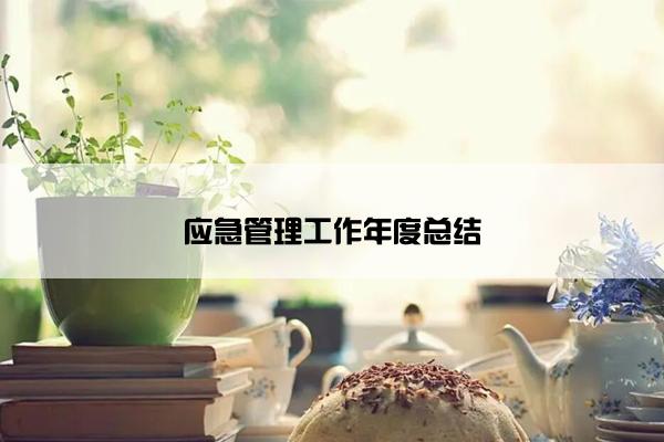 应急管理工作年度总结