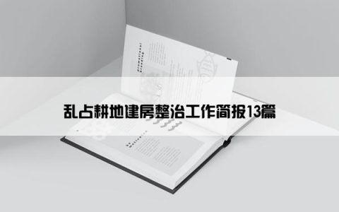 乱占耕地建房整治工作简报13篇