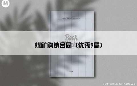 煤矿购销合同（优秀9篇）
