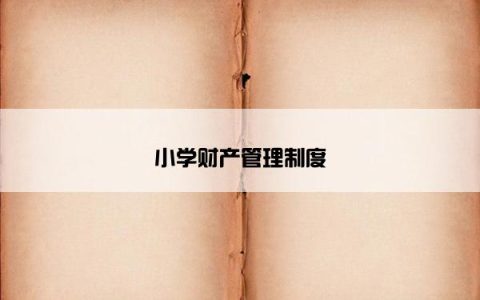 小学财产管理制度