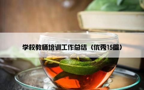 学校教师培训工作总结（优秀15篇）