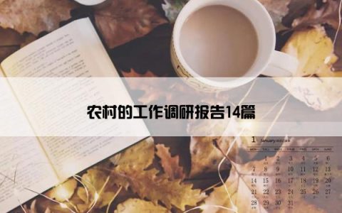 农村的工作调研报告14篇