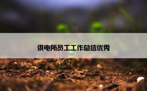 供电所员工工作总结优秀