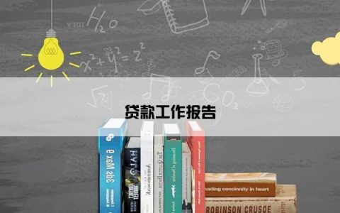 贷款工作报告