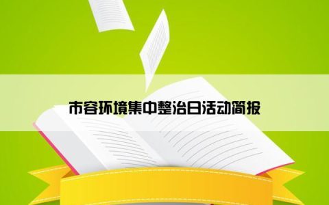 市容环境集中整治日活动简报