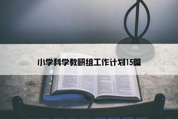 小学科学教研组工作计划15篇