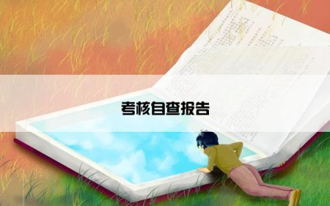 考核自查报告