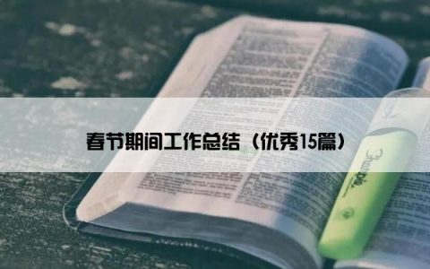 春节期间工作总结（优秀15篇）
