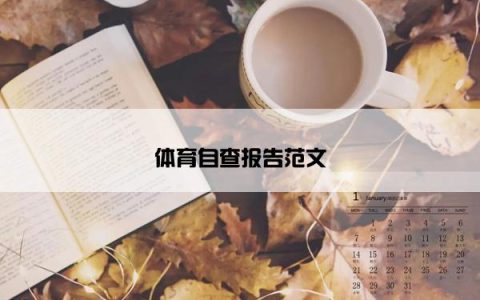 体育自查报告范文