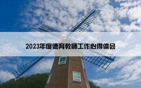 2023年度德育教师工作心得体会