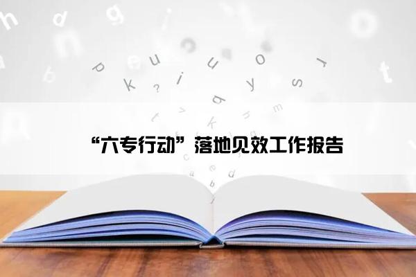 “六专行动”落地见效工作报告