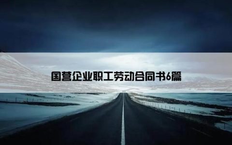 国营企业职工劳动合同书6篇