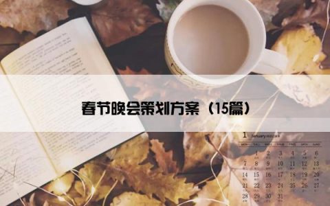 春节晚会策划方案（15篇）