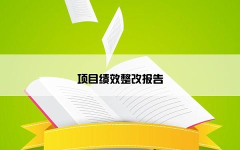 项目绩效整改报告