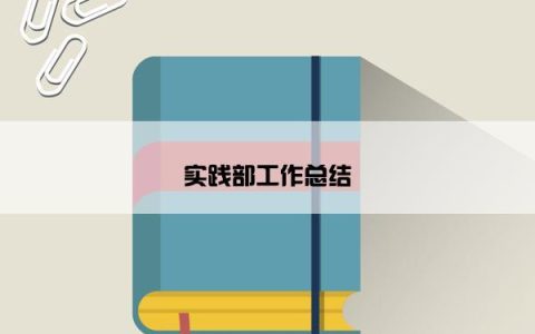 实践部工作总结