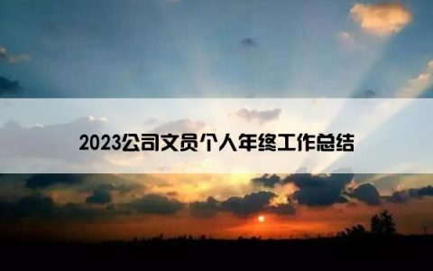 2023公司文员个人年终工作总结
