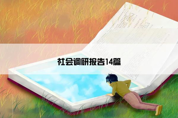 社会调研报告14篇