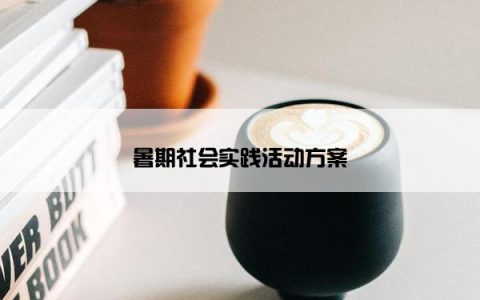 暑期社会实践活动方案