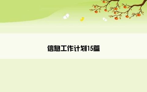 信息工作计划15篇