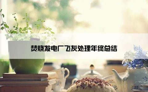 焚烧发电厂飞灰处理年终总结