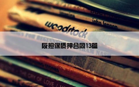 反担保质押合同13篇