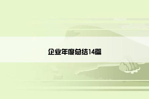 企业年度总结14篇