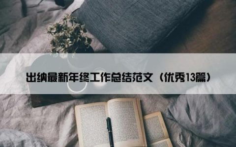 出纳最新年终工作总结范文（优秀13篇）