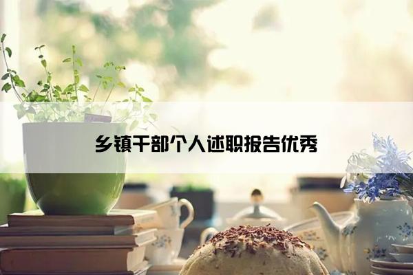 乡镇干部个人述职报告优秀