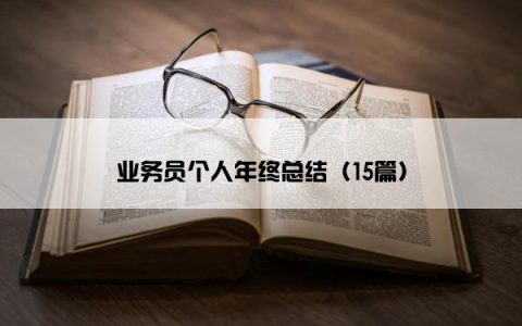业务员个人年终总结（15篇）